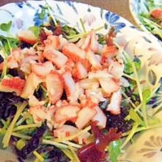 海藻と貝割れのサラダ